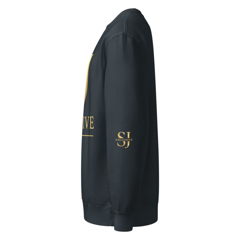Sweat-shirt premium SJ EXCLUSIVE anthracite, col rond, vue de côté avec logo doré sur manche, coupe droite chic et confortable